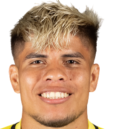 查塔努加红狼