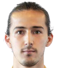 美洲狮